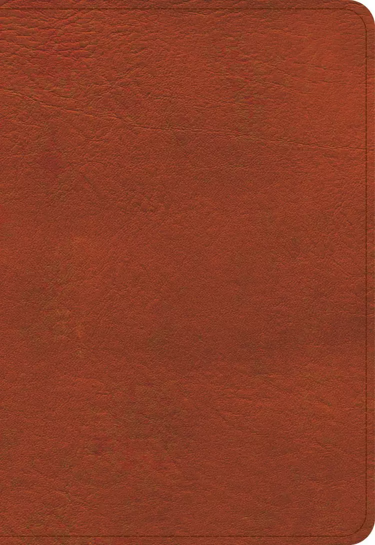 KJV Large Print Compact Reference Bible, Burnt Sienna LeatherTouch