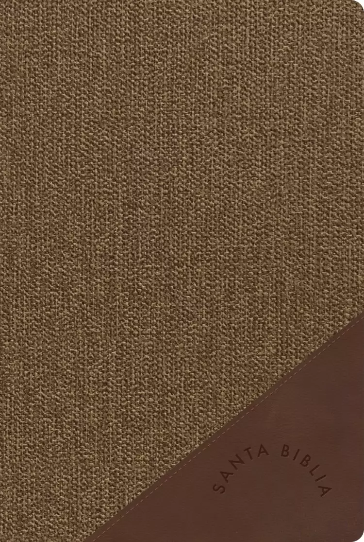 RVR 1960 Biblia letra gigante, gris, símil piel (2023 ed.)