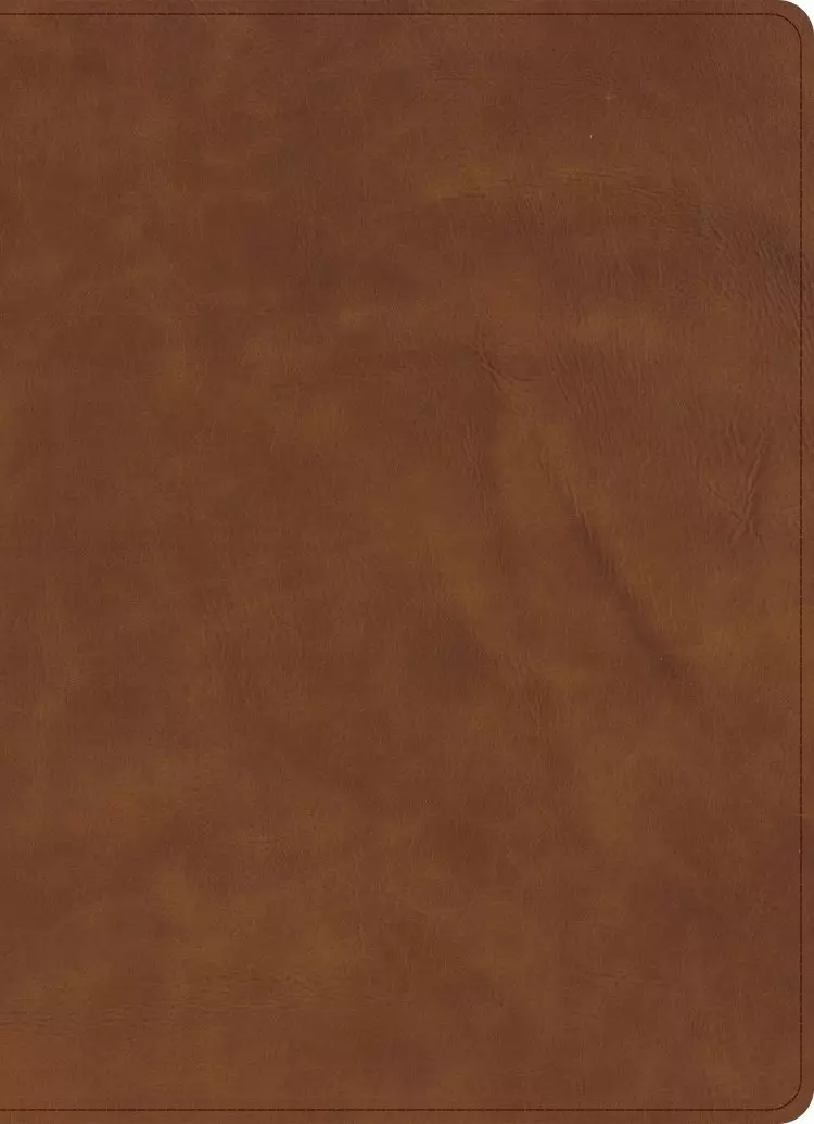CSB Verse-by-Verse Reference Bible, Holman Handcrafted Collection, Marbled Tan Premium Calfskin