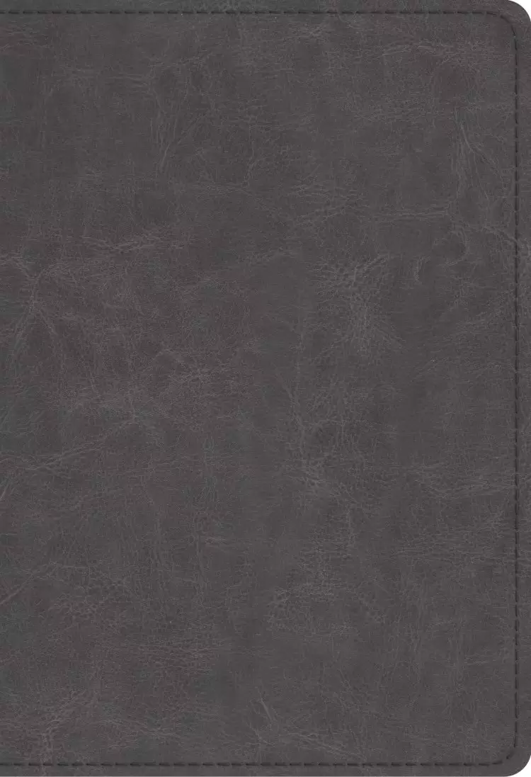 ESV Student Study Bible, Imitation Leather, Gray, Study Notes, Concordance, Maps, Topical Articles