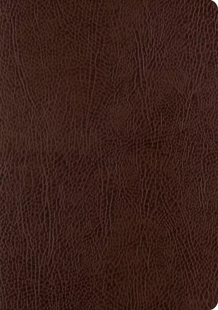 ESV Single Column Journaling Bible, Large Print (Bonded Leather, Mocha)