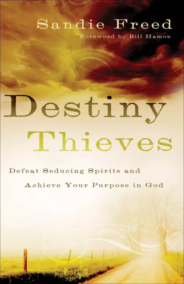 Destiny Thieves [eBook]