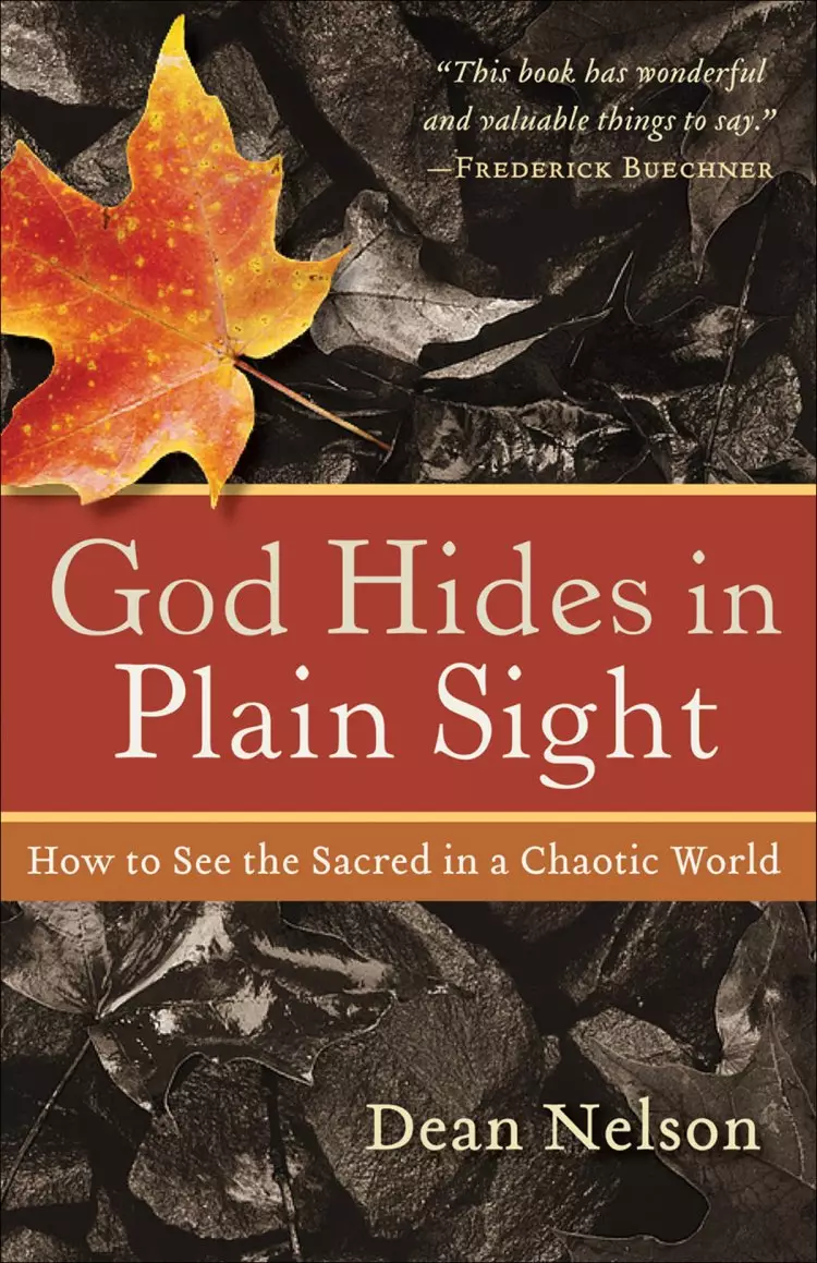 God Hides in Plain Sight [eBook]