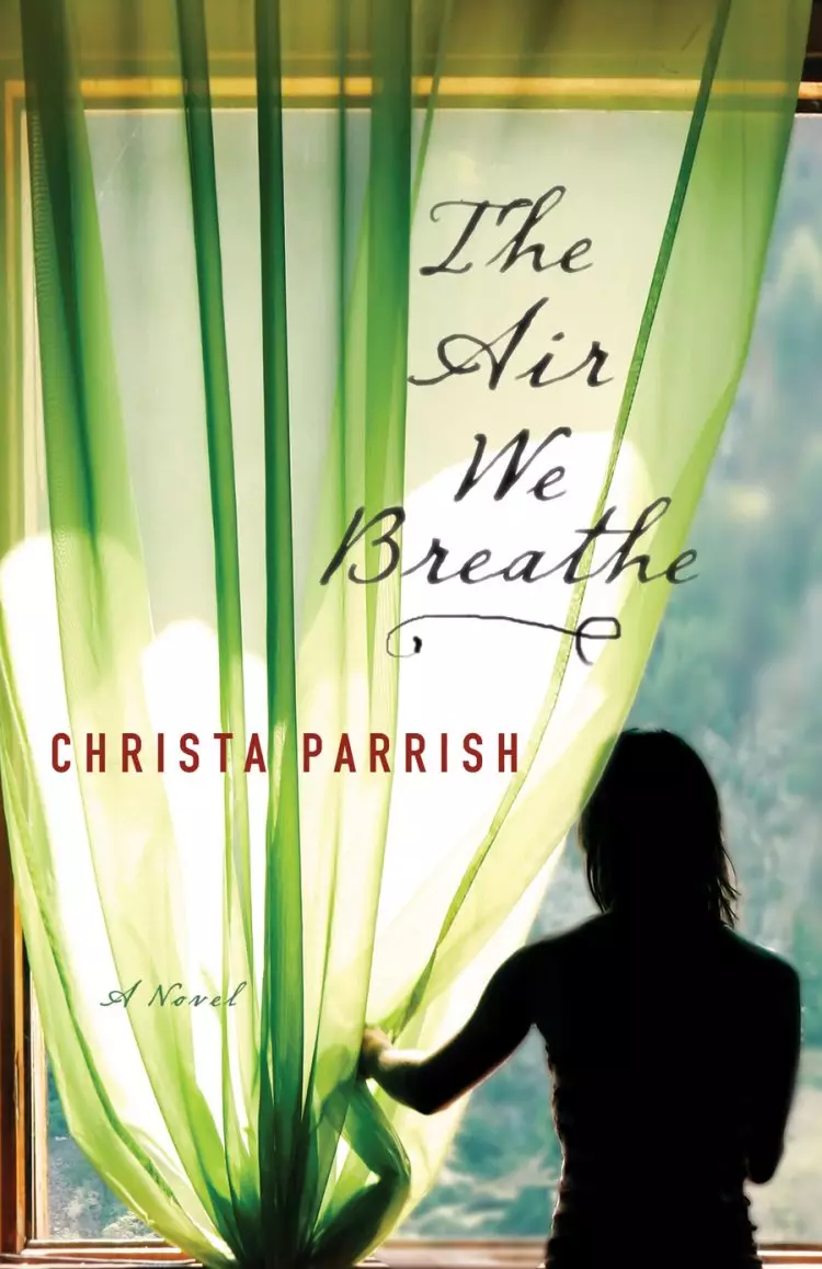 The Air We Breathe [eBook]