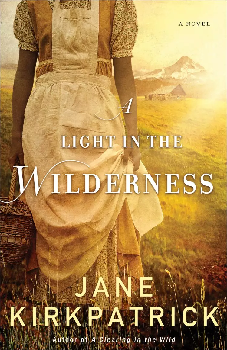 A Light in the Wilderness [eBook]