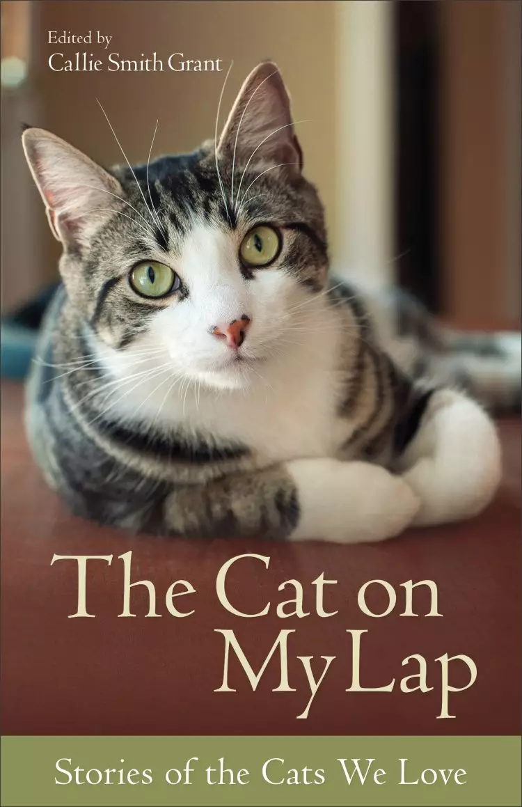 The Cat on My Lap [eBook]