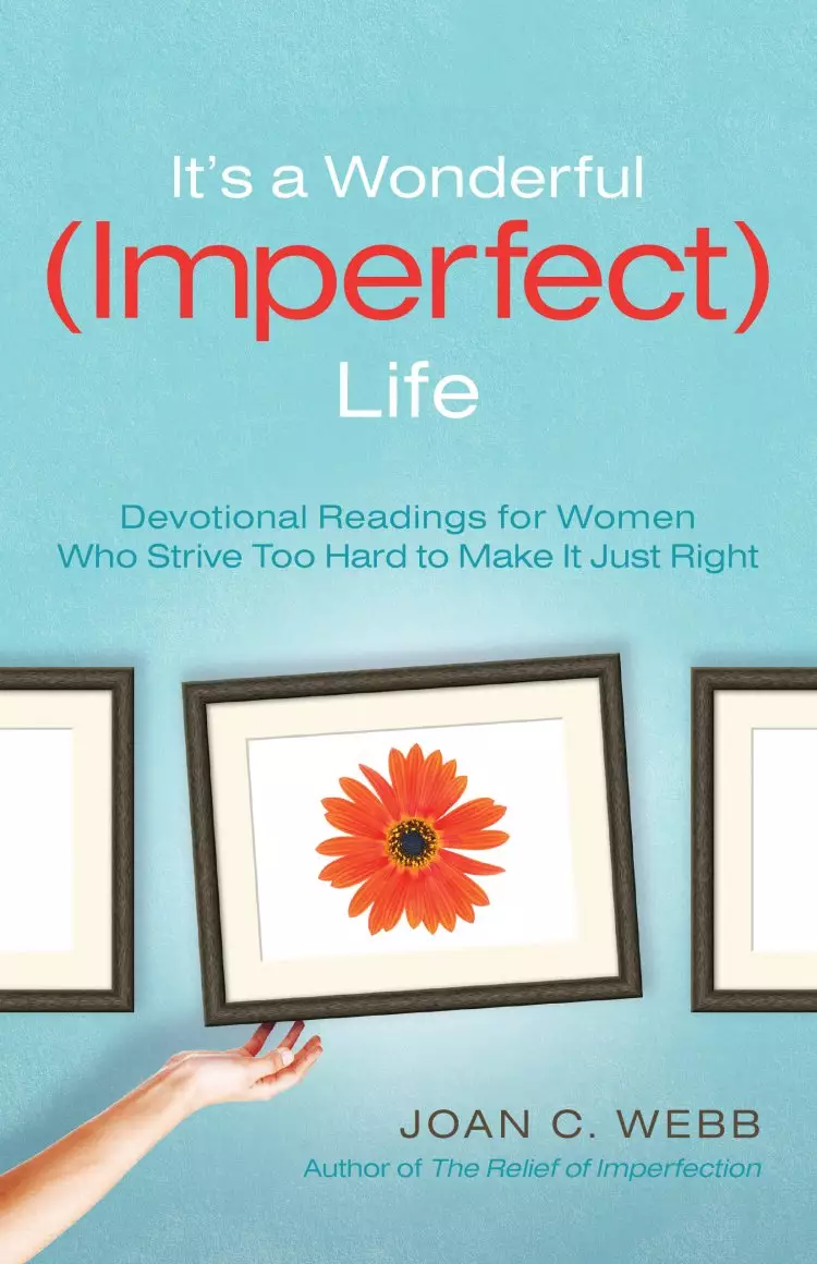 It's a Wonderful (Imperfect) Life [eBook]