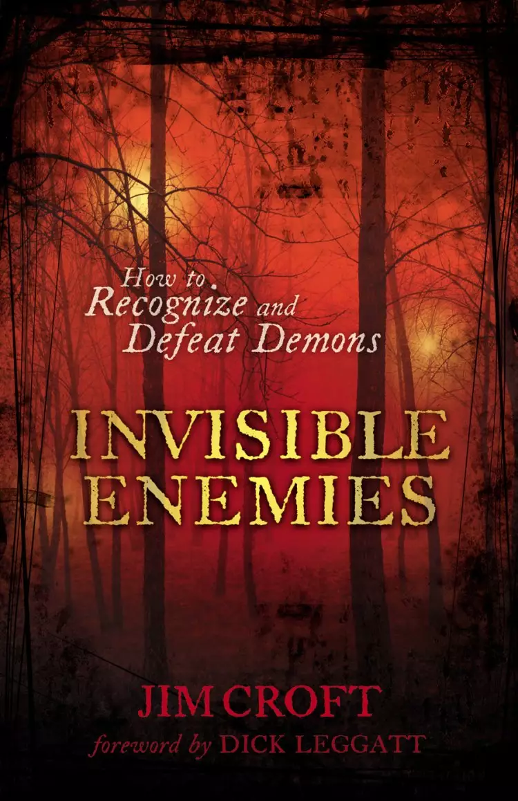 Invisible Enemies [eBook]