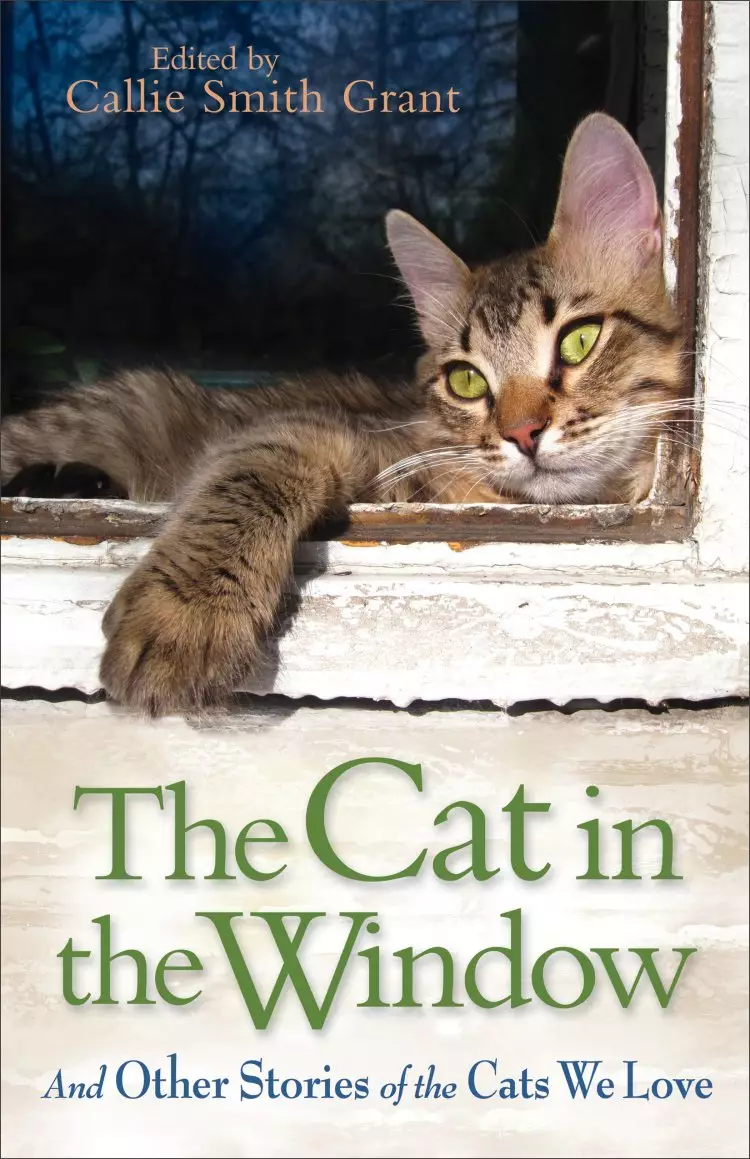 The Cat in the Window [eBook]