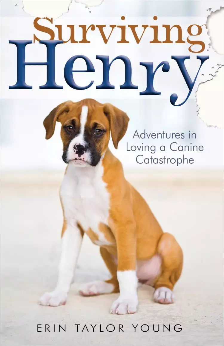 Surviving Henry [eBook]