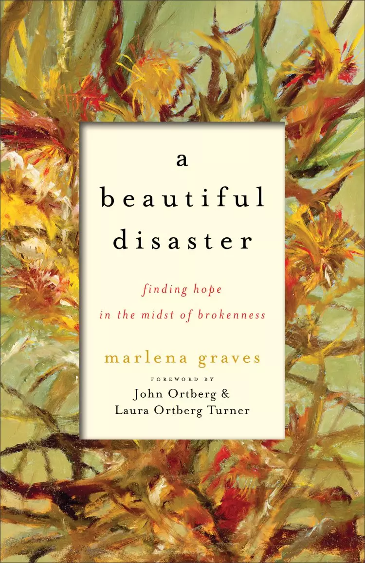 A Beautiful Disaster [eBook]