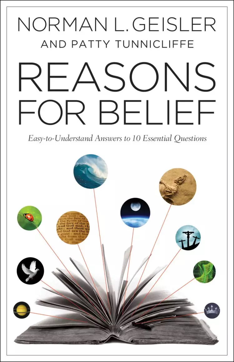 Reasons for Belief [eBook]