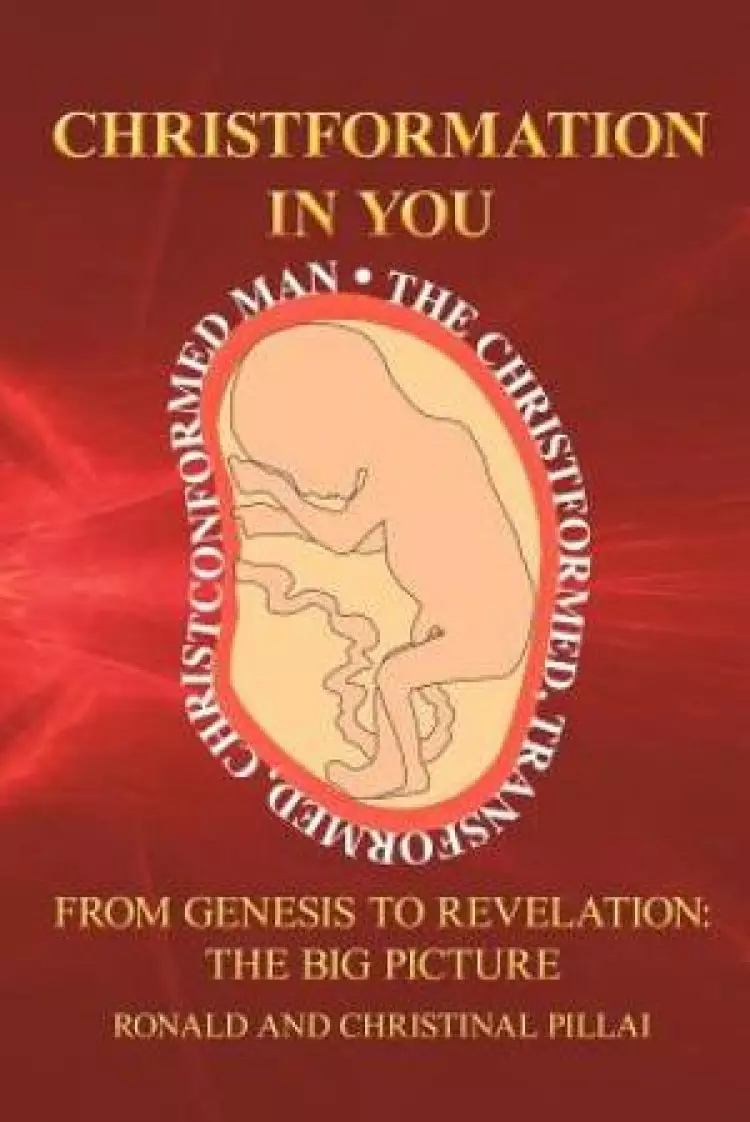 Christformation in You: From Genesis to Revelation: The Big Picture