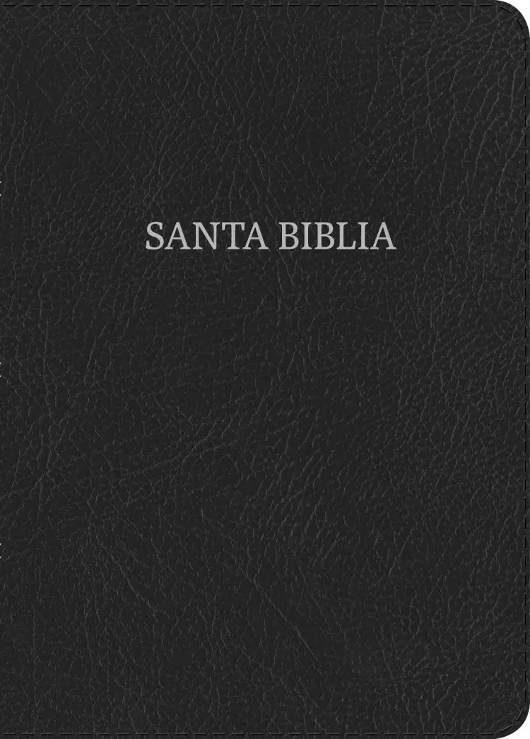 RVR 1960 Biblia Letra Grande Tamaño Manual, negro piel fabri