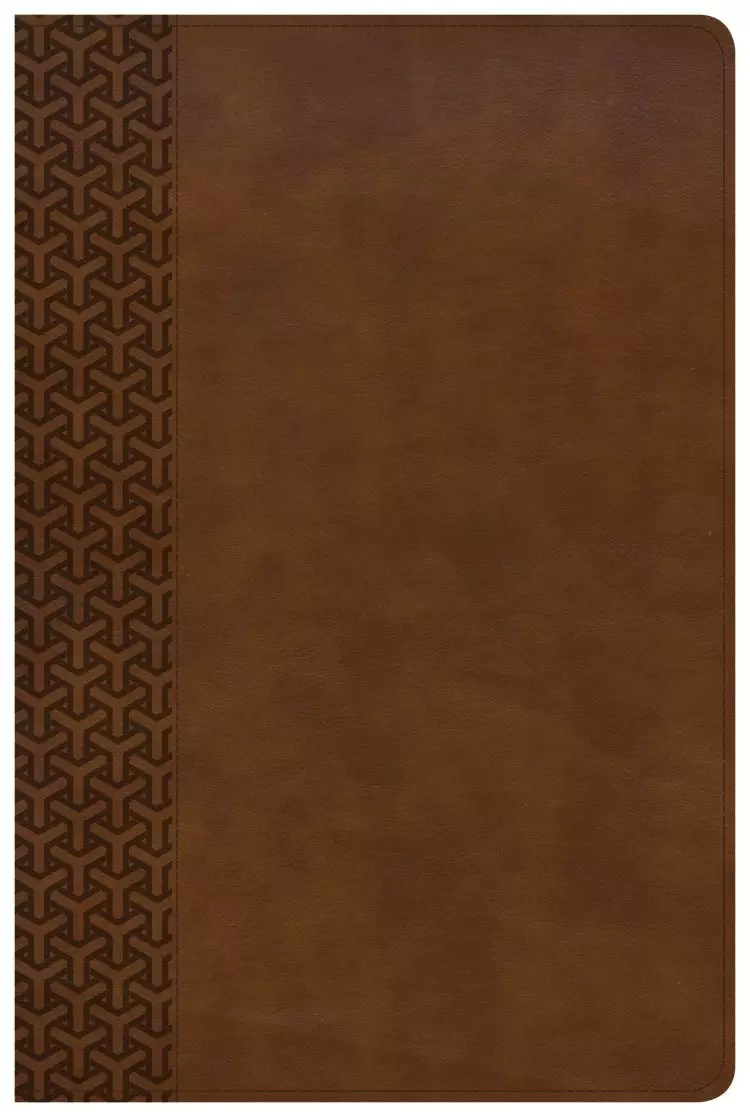 CSB Everyday Study Bible, British Tan LeatherTouch
