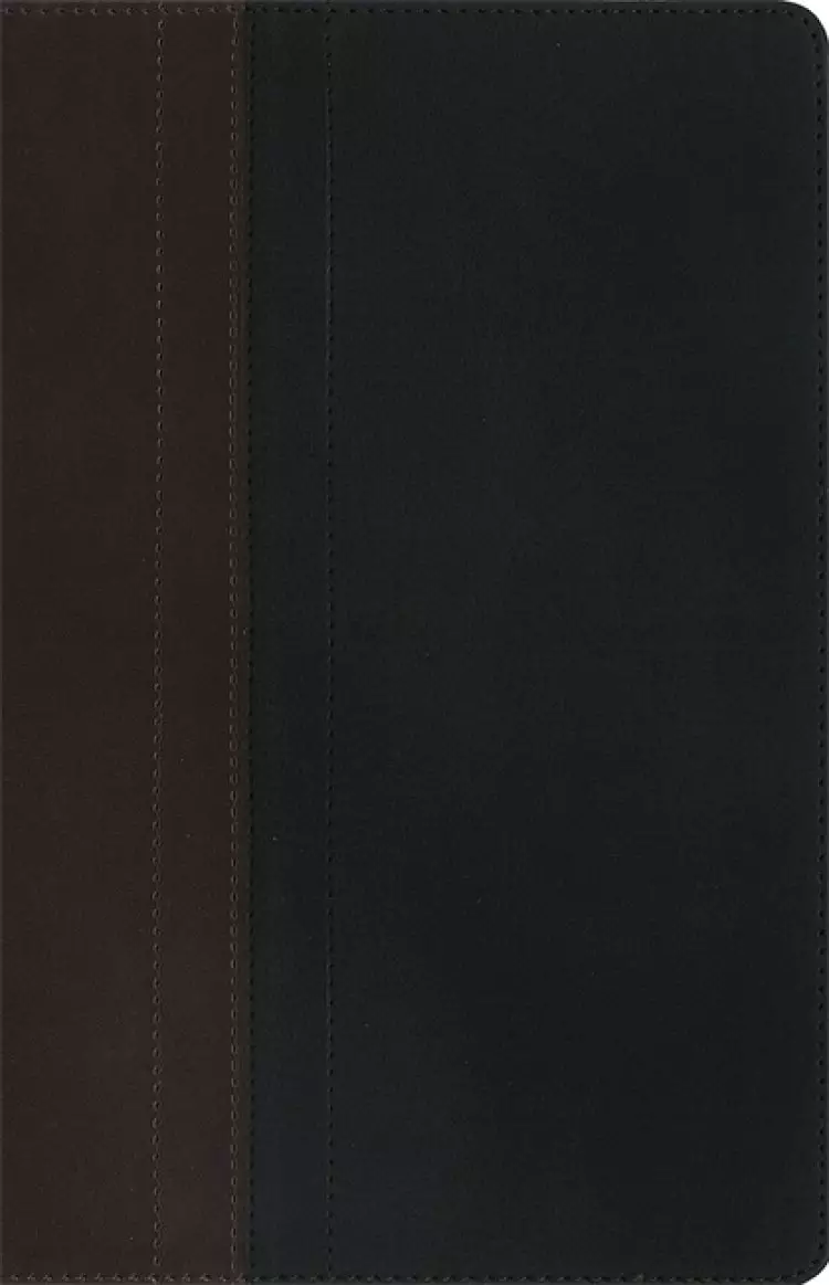 NIV Zondervan Study Bible, Brown, Imitation Leather, Cross Reference, Concordance, Scripture References, Literary Introductions, Study Tools, Presentation Page