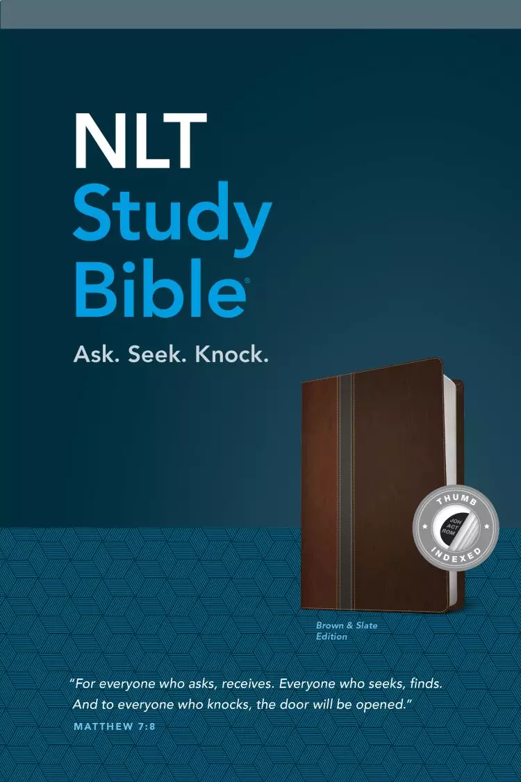 NLT: Study Bible, Brown Slate, Leatherlike, Indexed