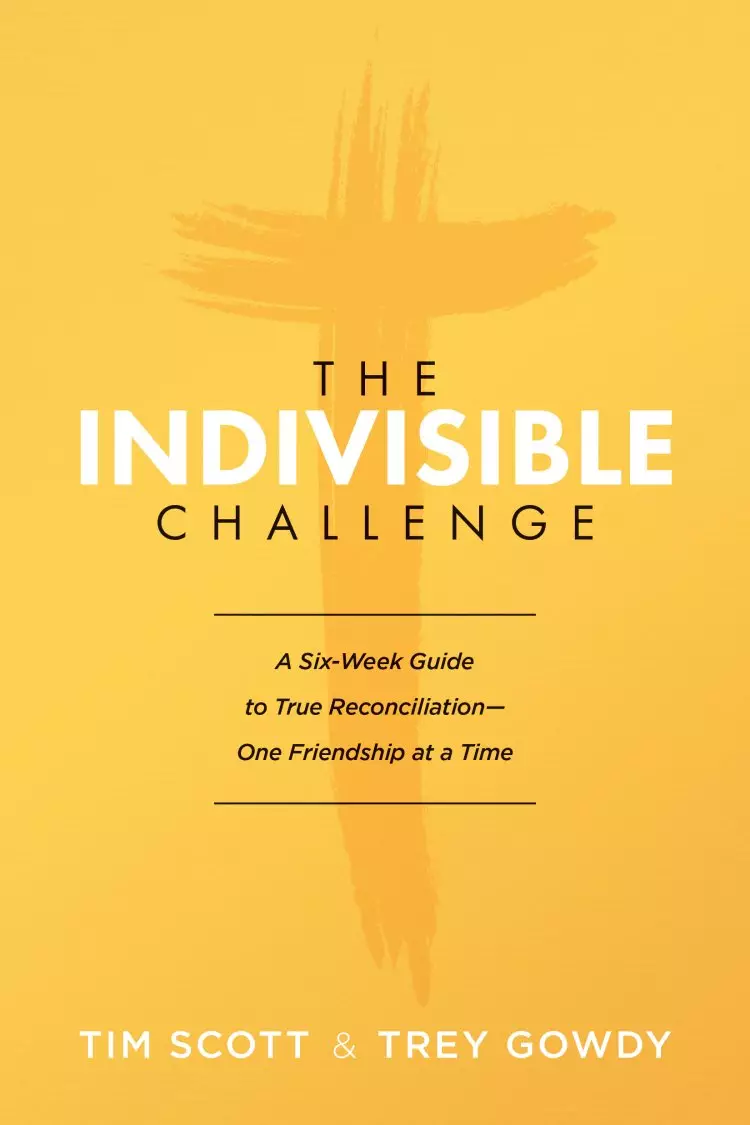 Indivisible Challenge, The
