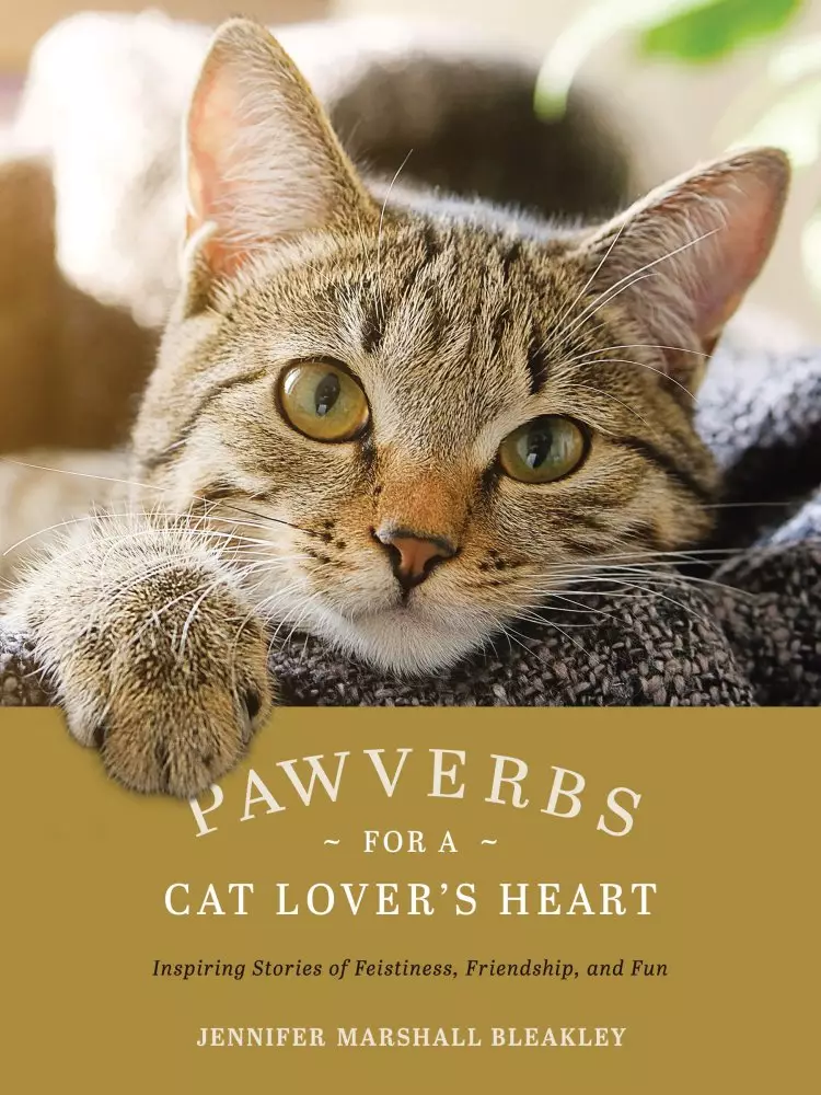 Pawverbs for a Cat Lover's Heart
