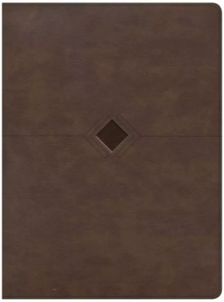 CSB Day-by-Day Chronological Bible, Brown Leathertouch