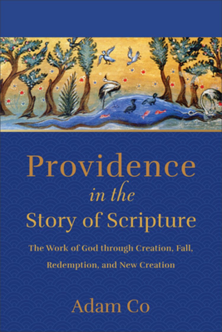 Providence in the Story of Scripture: The Work of God Through Creation, Fall, Redemption, and New Creation