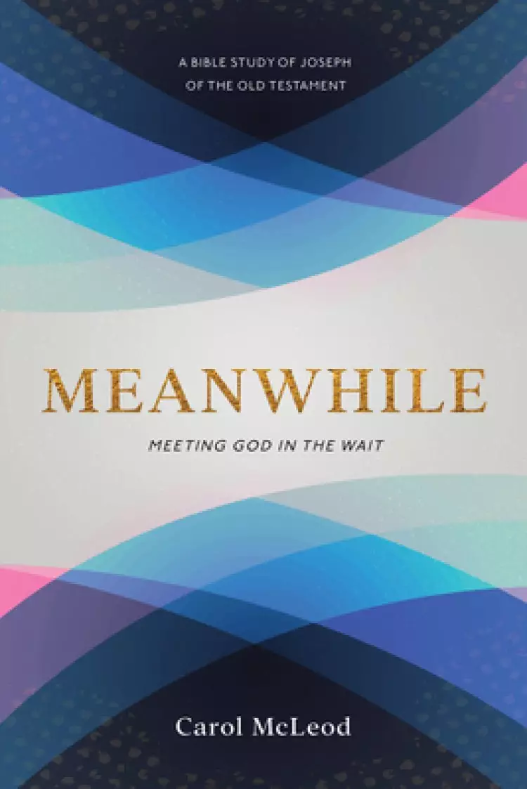 Meanwhile: Meeting God in the Wait: Meeting God in the Wait