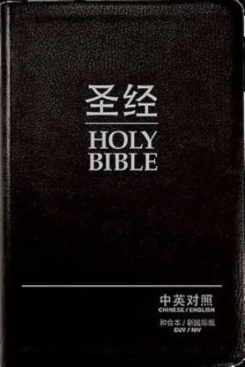 Chinese / English Bible - CUV Simplified / NIV Leather