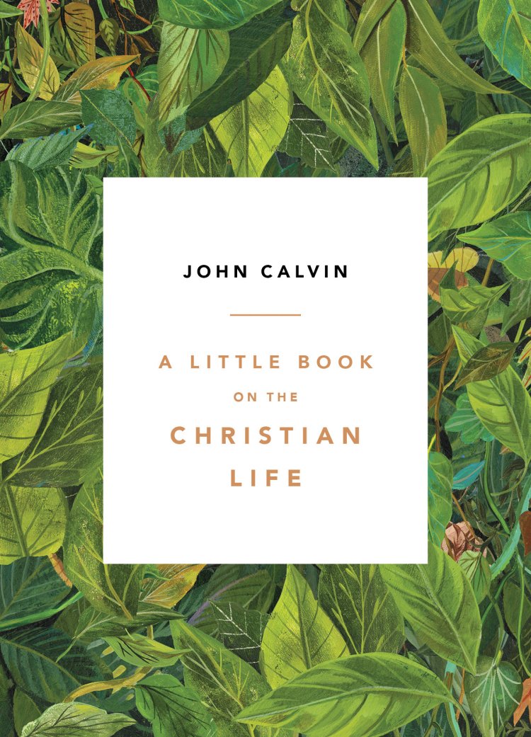 A Little Book On The Christian Life
