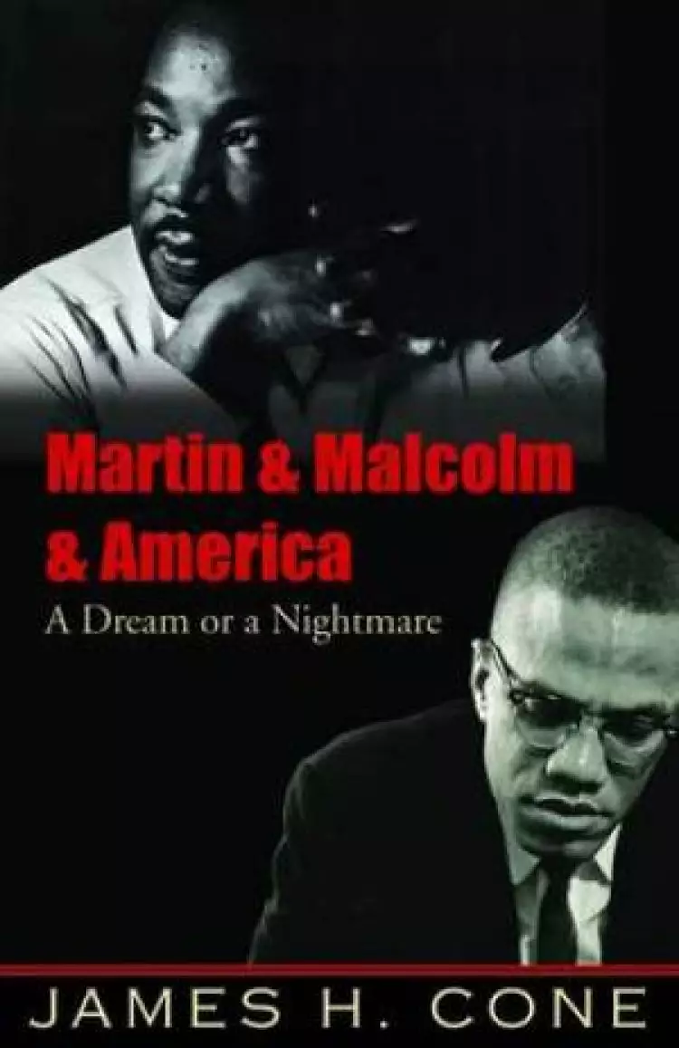 Martin and Malcolm and America