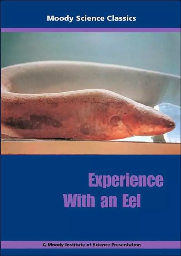 Experience An Eel Dvd