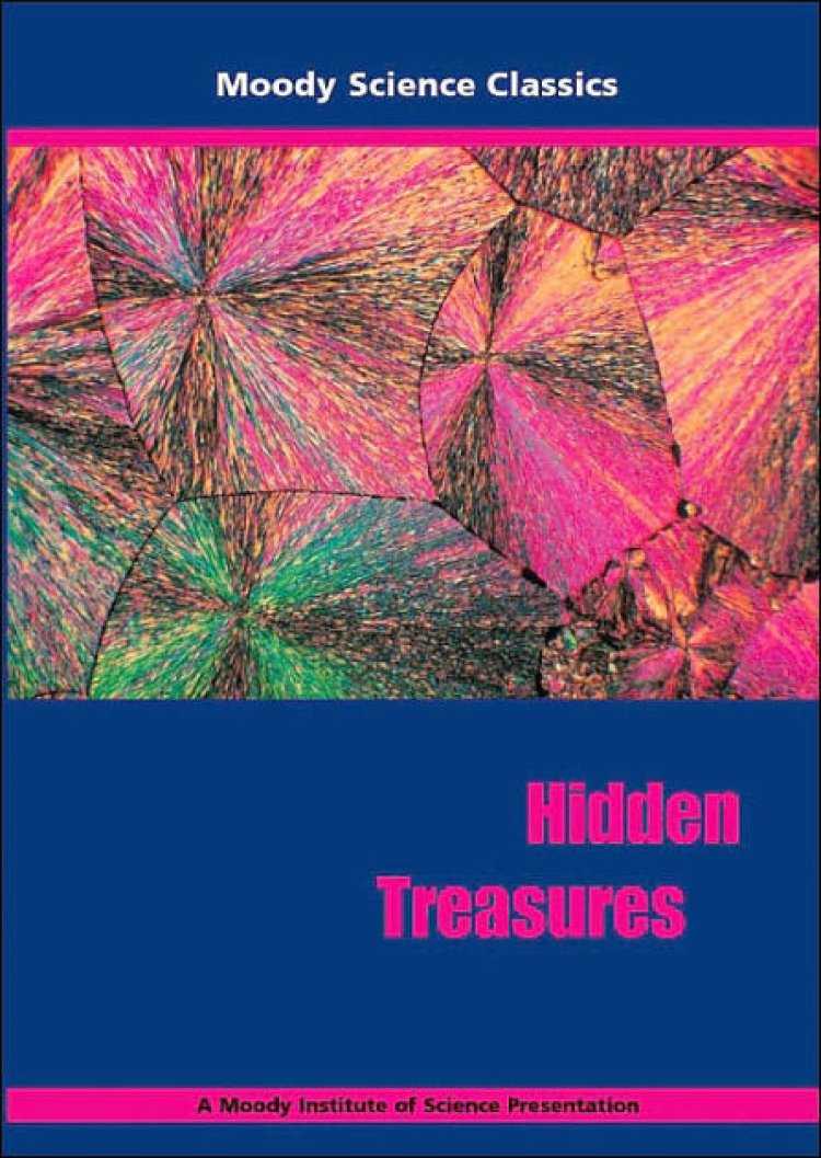 Hidden Treasures Dvd