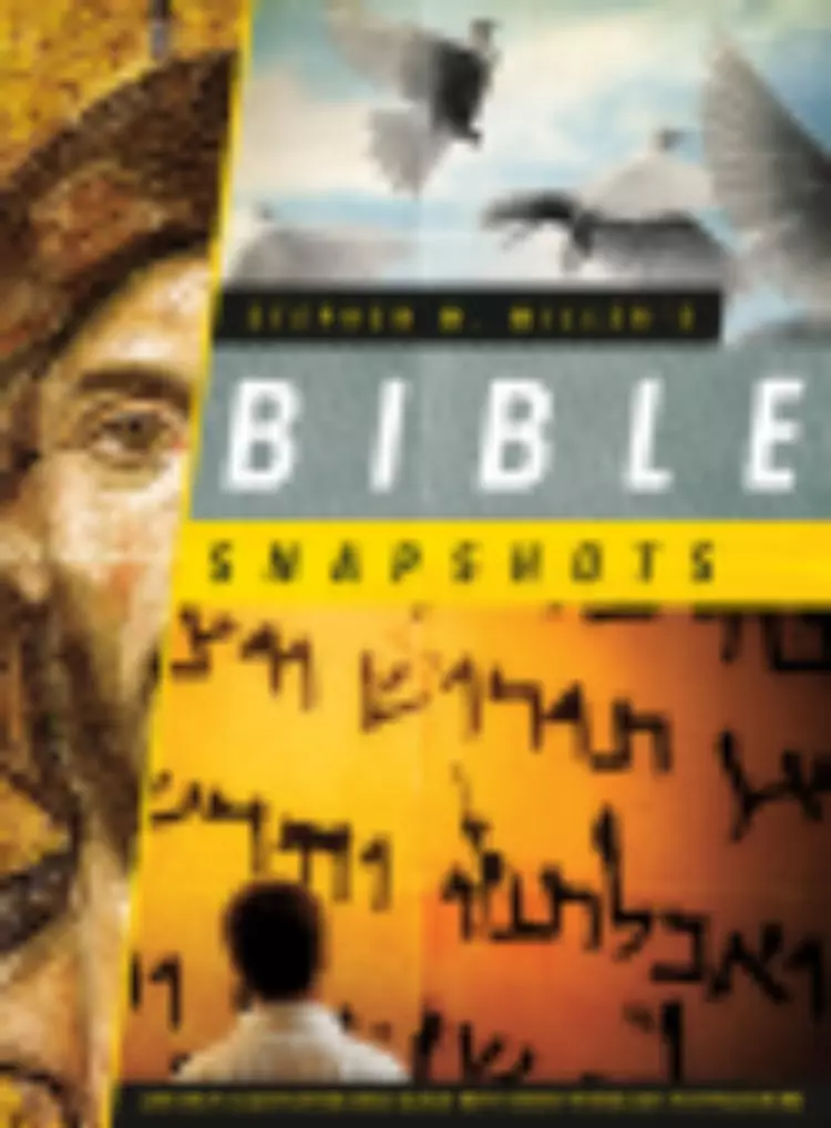 Stephen M Millers Bible Snapshots