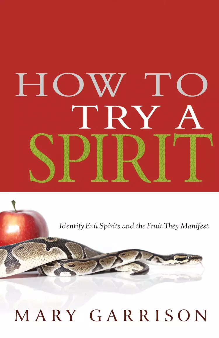 How To Try A Spirit Paperback Book