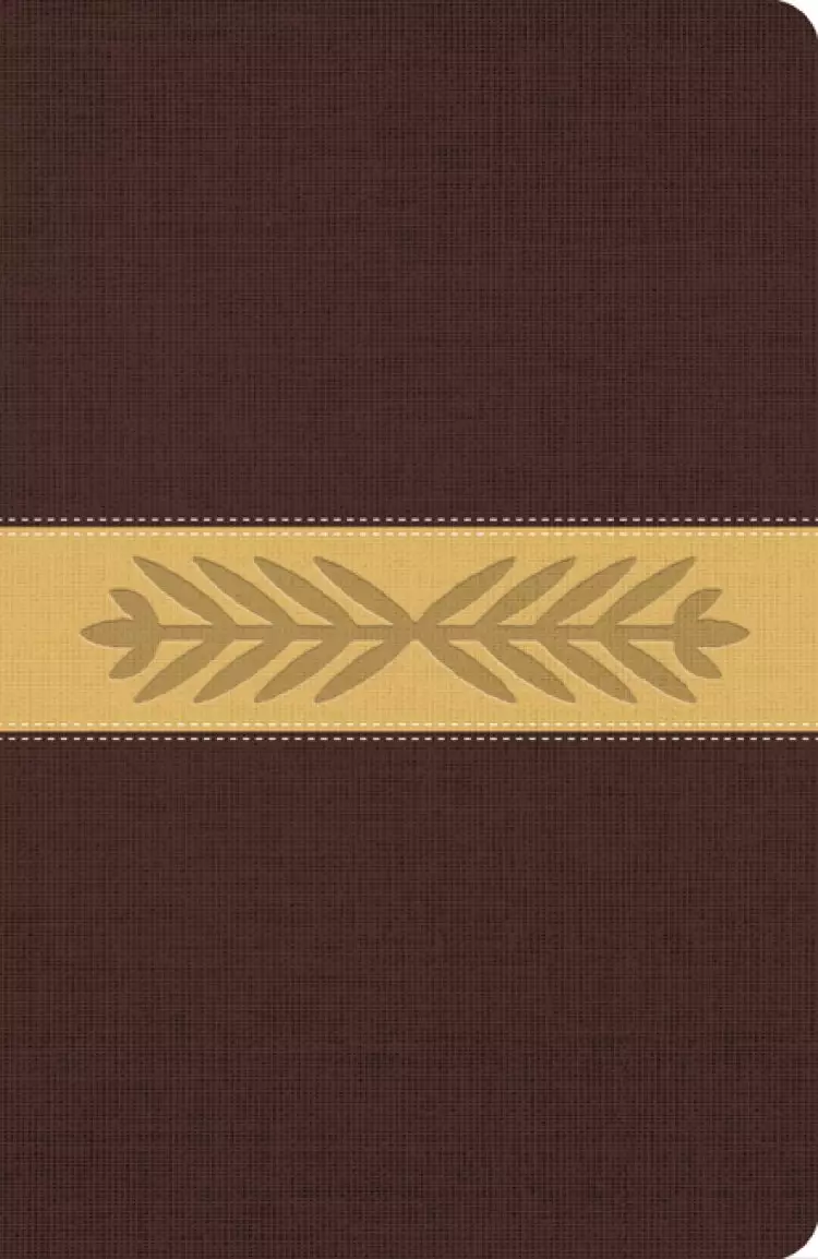 The Message Bible Paraphrase, Bible, Brown, Imitation Leather, One-Column Layout, Timelines, Charts, Ribbon Marker