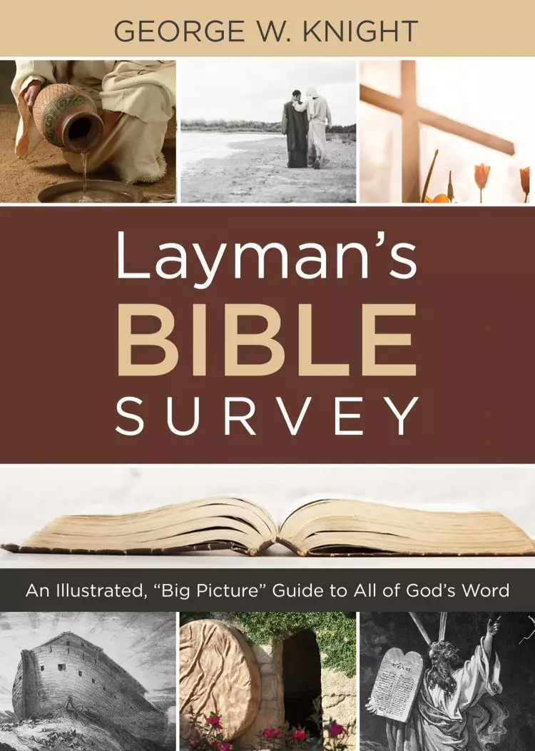 Layman's Bible Survey: An Illustrated, "Big Picture" Guide to All of God's Word