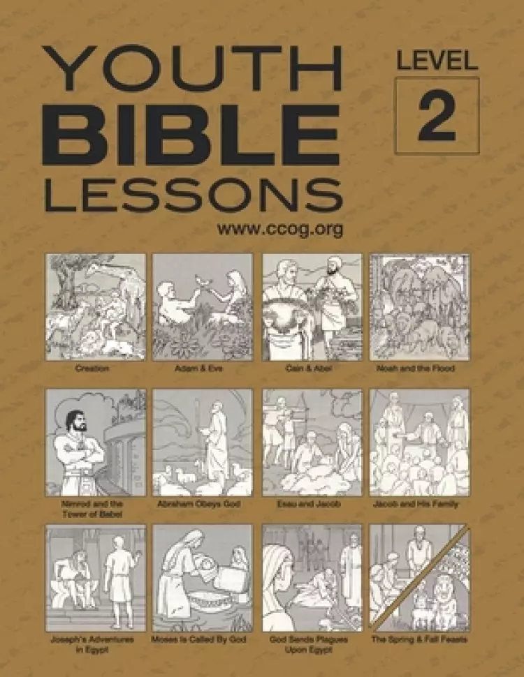 Youth Bible Lessons Level 2