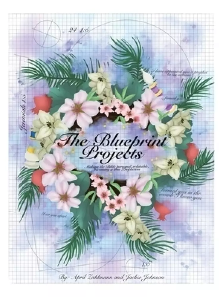 The Blueprint Projects: Making the Bible Personal, Relatable, Becoming a True Prophetess