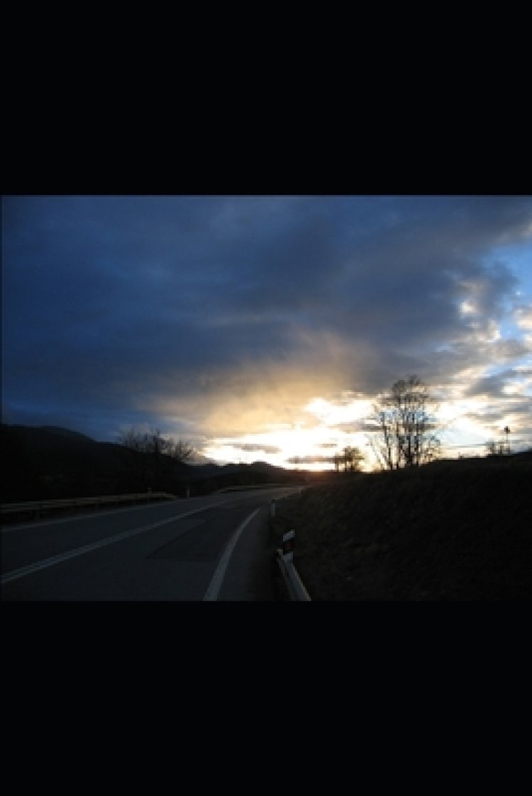 The Accident A story based on true events. Free Delivery when you