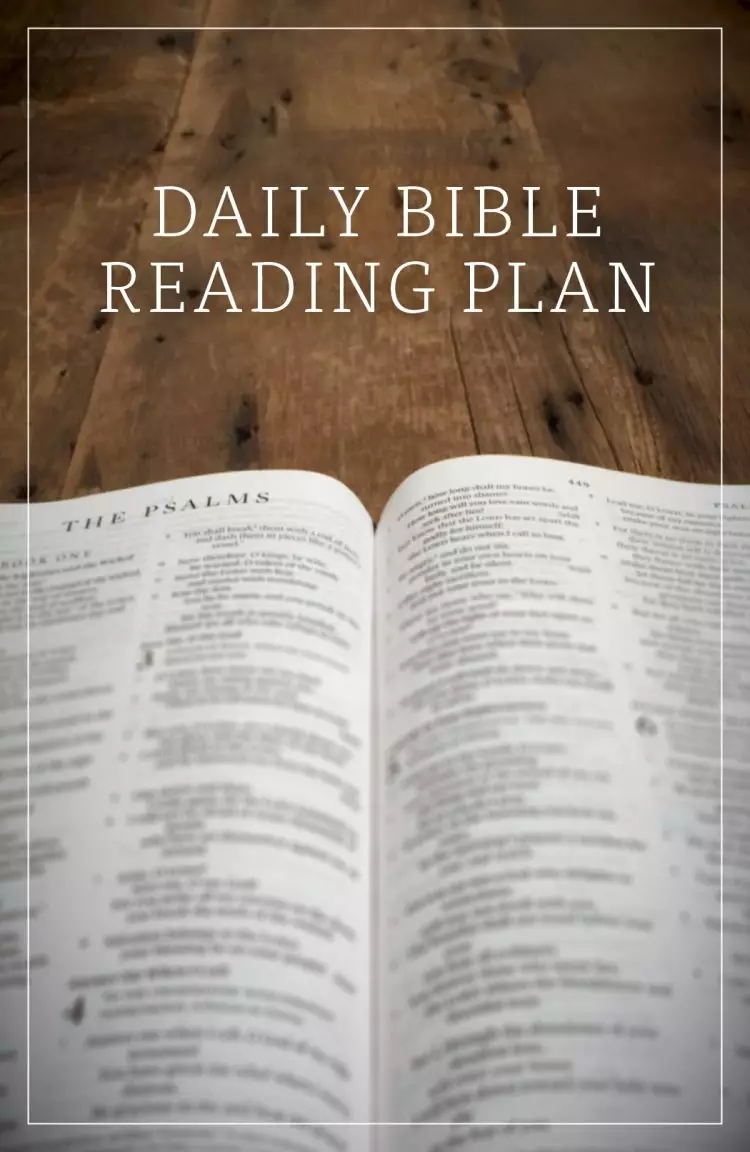 Daily Bible Reading Plan (Pack of 25)