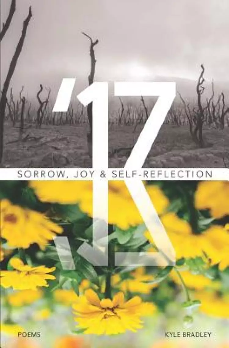 '17: Sorrow, Joy & Self-Reflection