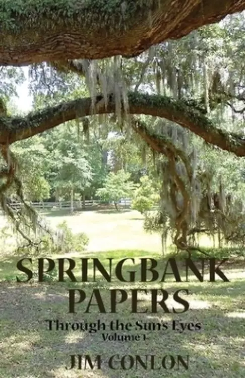 Springbank Papers: Through the Sun's Eyes