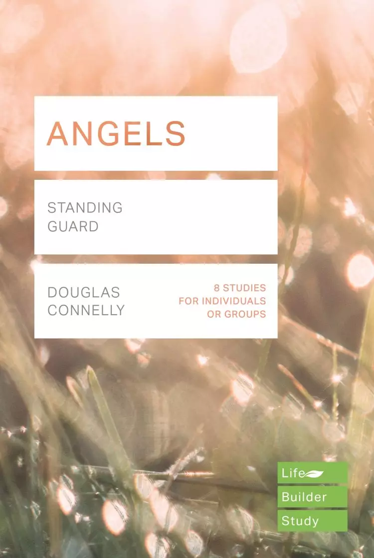 Lifebuilder Bible Study: Angels