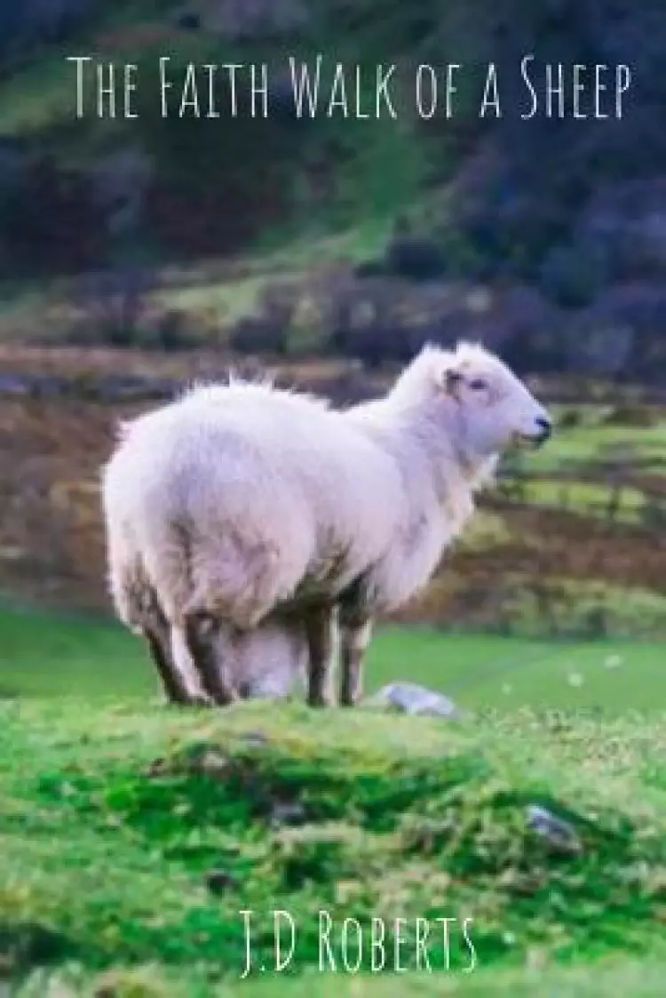 The Faith Walk of a Sheep