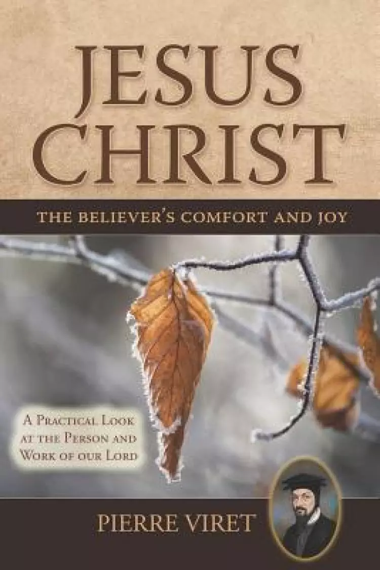 Jesus Christ the Believer's Comfort and Joy: A Practical Look at the Person and Work of Our Lord