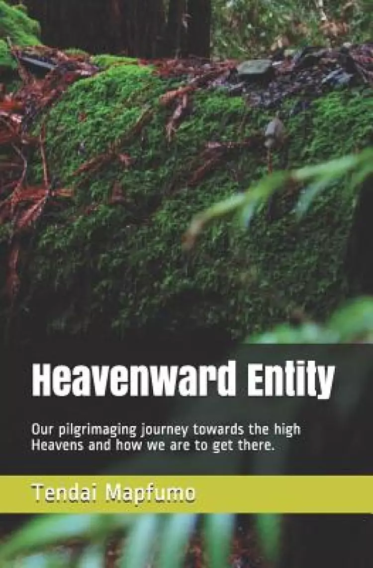 Heavenward Entity