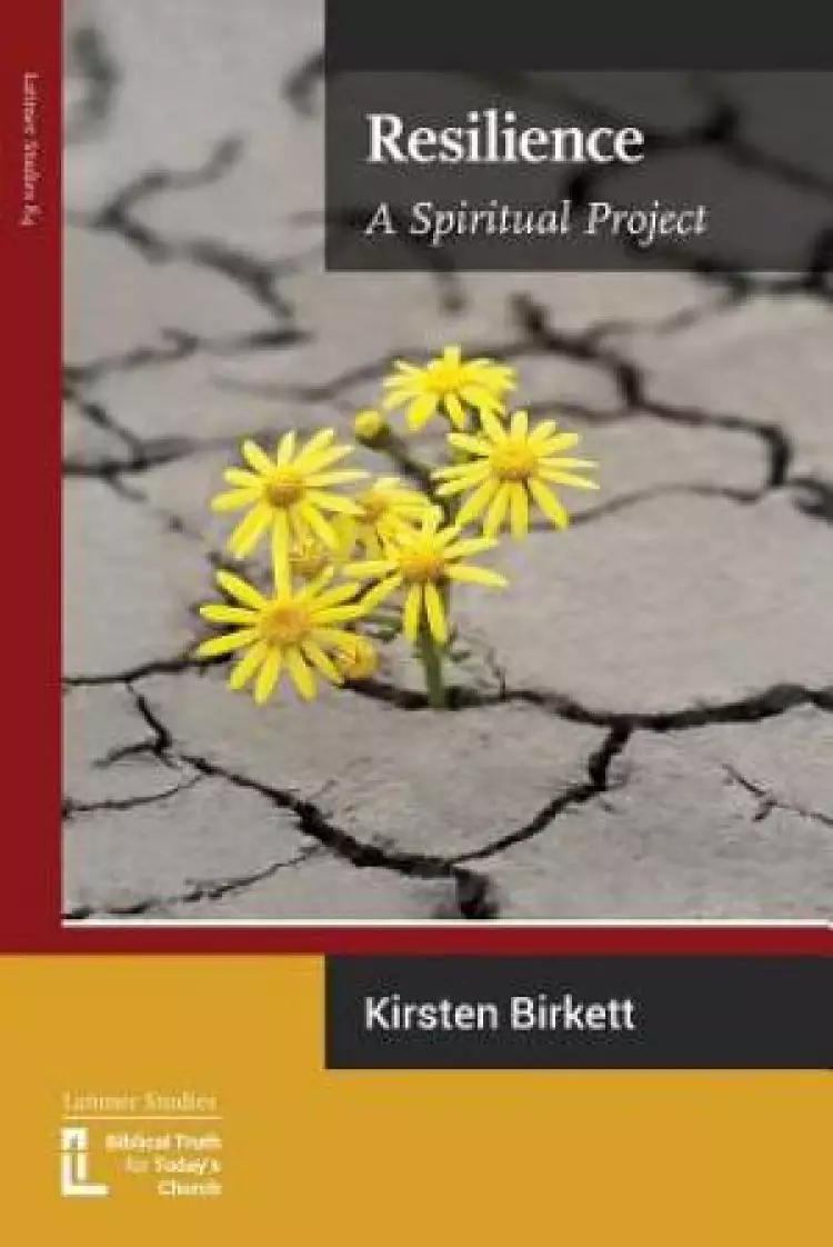 Resilience: A Spiritual Project