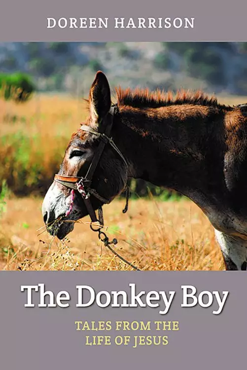 The Donkey Boy: Tales from the Life of Jesus