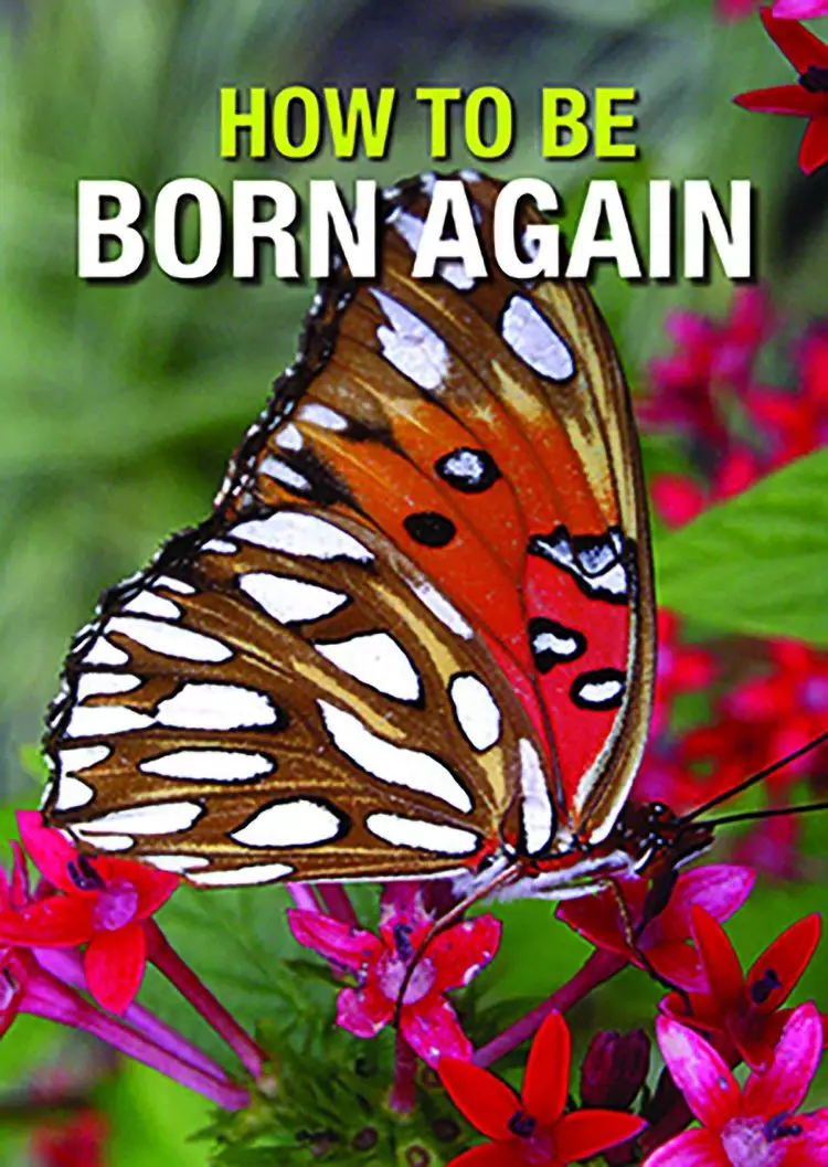 How to be Born Again Pack of 50