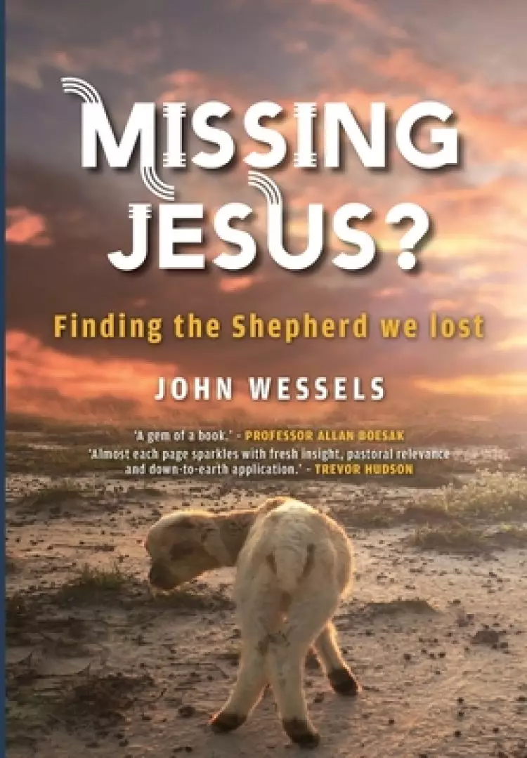 Missing Jesus?: Finding the Shepherd we lost