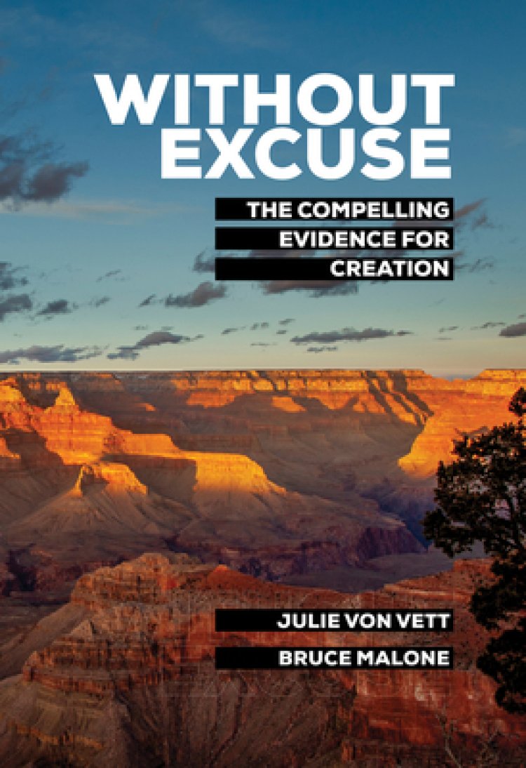 Without Excuse: The Compelling Evidence for Creation